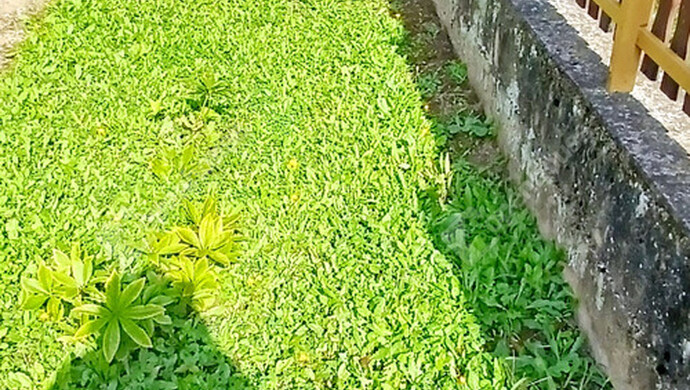 36. kép | Eladó Családi ház, Lakhegy (#177397)