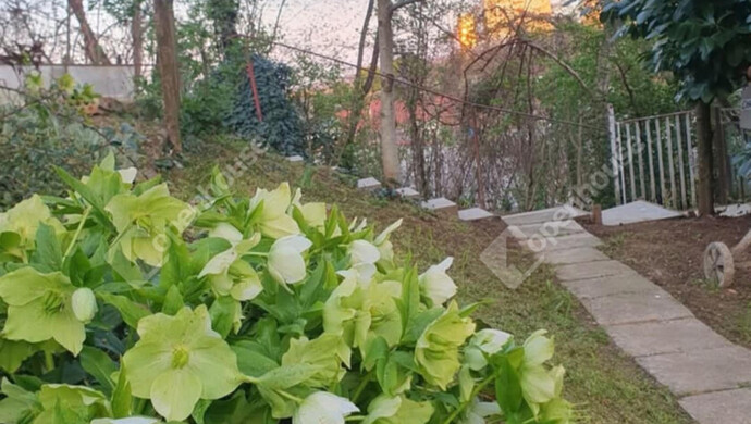 10. kép | Eladó Családi ház, Zalaegerszeg (#177461)