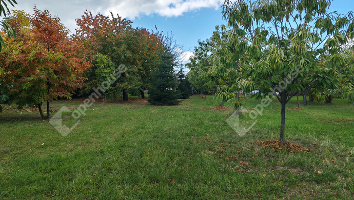 67. kép | Eladó Nyaraló, Nagykanizsa (#177970)