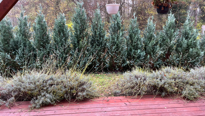 14. kép | Eladó Családi ház, Sopron (#178371)