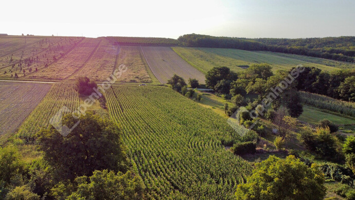 1. kép | Eladó Telek, Nagykutas (#176517)