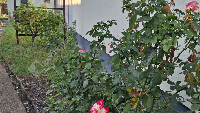 2. kép | Eladó Társasházi lakás, Komárom (#176888)