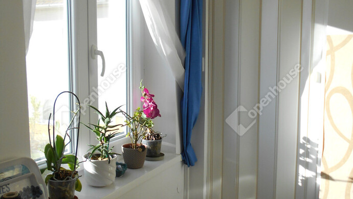 5. kép | Eladó Zárt kert, Zalaegerszeg (#178199)