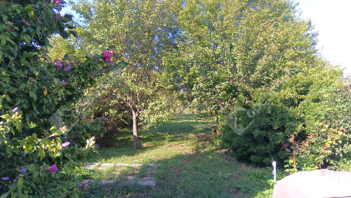 10. kép | Eladó Sorház, Pápa (#177005)