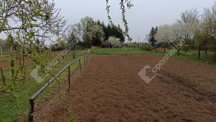 36. kép | Eladó Családi ház, Nagykanizsa (#181326)