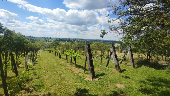 39. kép | Eladó Nyaraló, Nagykanizsa (#172030)