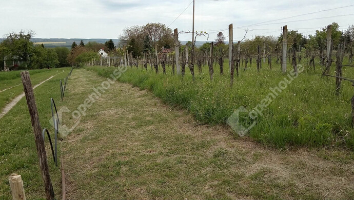 22. kép | Eladó Nyaraló, Nagykanizsa (#181407)