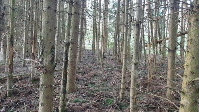 43. kép | Eladó Telek, Homokkomárom (#180337)