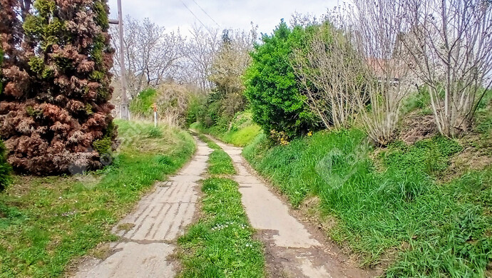 11. kép | Eladó Pince, Boncodfölde (#181048)