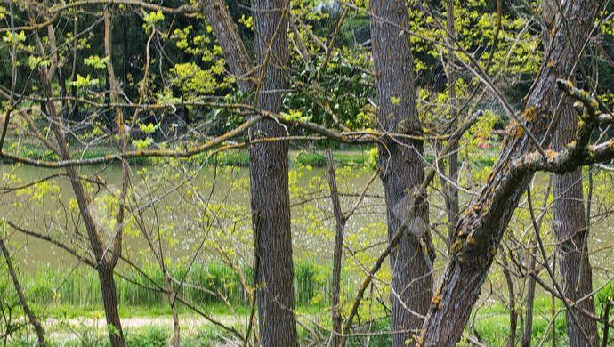 45. kép | Eladó Családi ház, Ötvöskónyi (#181241)