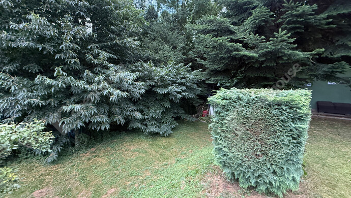 23. kép | Eladó Nyaraló, Zalaegerszeg (#175768)