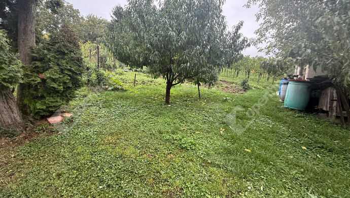 28. kép | Eladó Zárt kert, Zalaegerszeg (#177101)