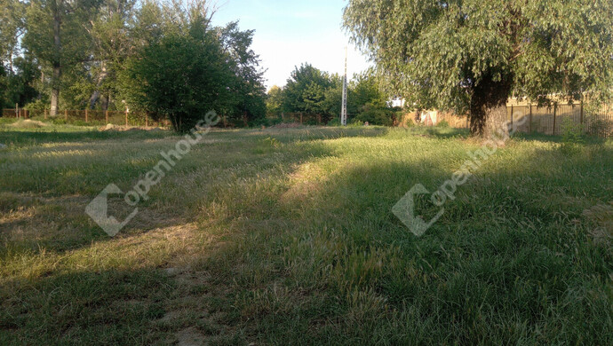 9. kép | Eladó Nyaraló, Szeged (#182348)