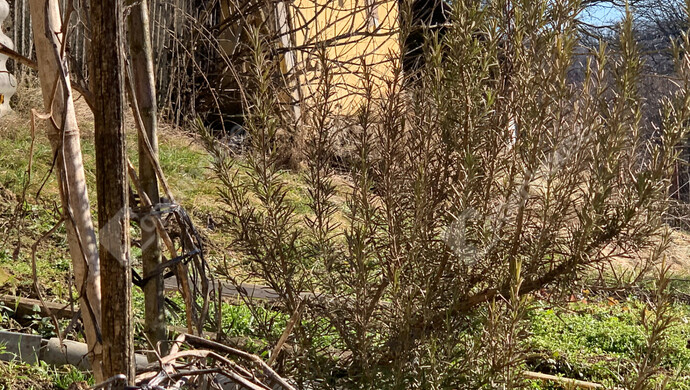 81. kép | Eladó Nyaraló, Homokkomárom (#179898)