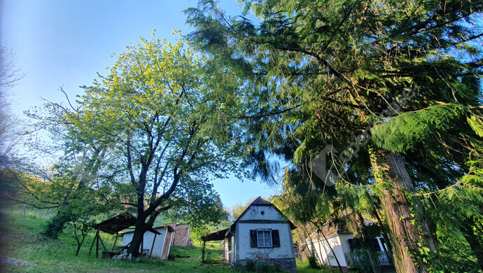 0. kép | Eladó Nyaraló, Homokkomárom (#181371)