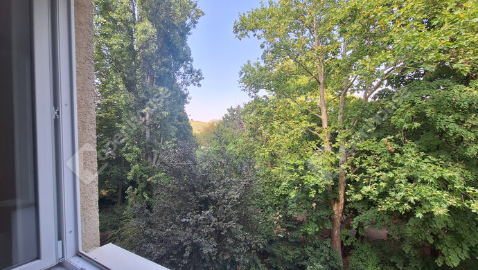 5. kép | Eladó Téglaépítésű lakás, Budapest II. Ker. (#173804)