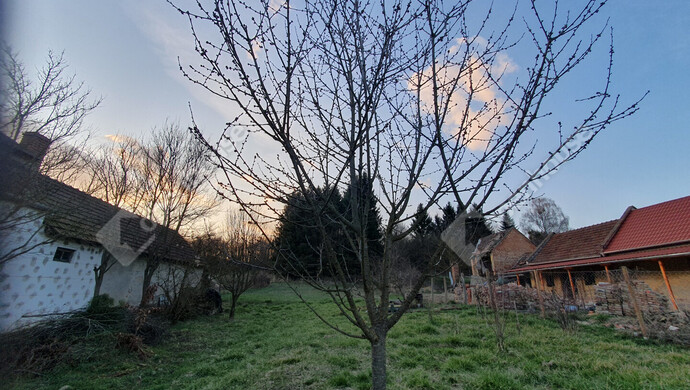 6. kép | Eladó Telek, Homokkomárom (#180337)