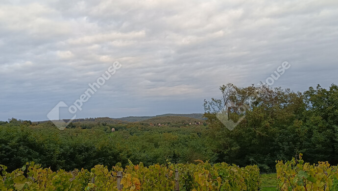 33. kép | Eladó Családi ház, Letenye (#178074)