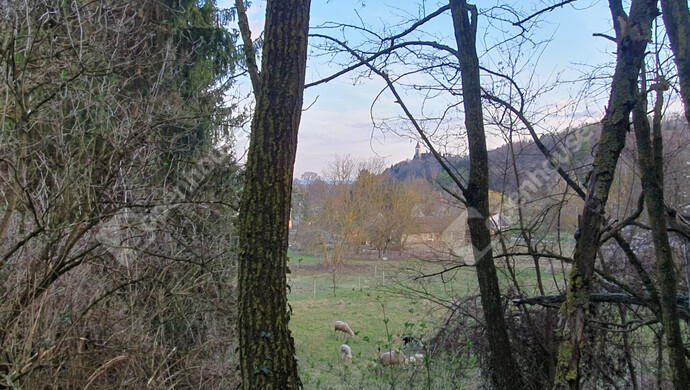 37. kép | Eladó Telek, Homokkomárom (#180337)