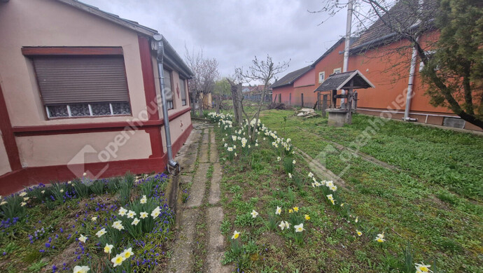 15. kép | Eladó Családi ház, Zalakomár (#180749)