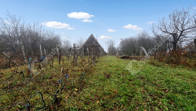 0. kép | Eladó Zárt kert, Mályi (#178619)