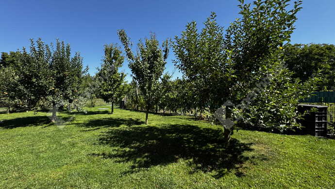 20. kép | Eladó családi ház Feketehegyen | Eladó Családi ház, Székesfehérvár (#176442)