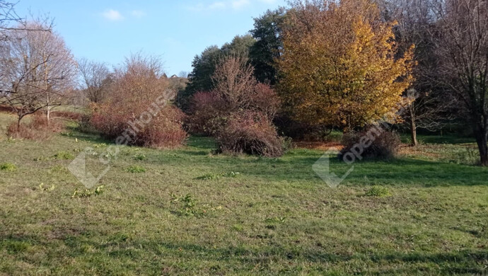 7. kép | Eladó Zárt kert, Zalaegerszeg (#69557)