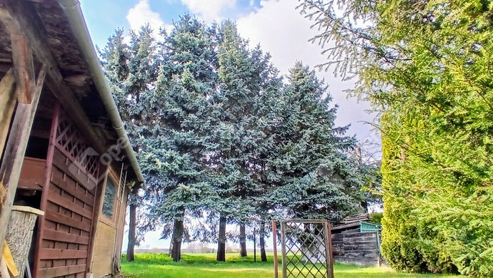 18. kép | Eladó Családi ház, Lenti (#179987)