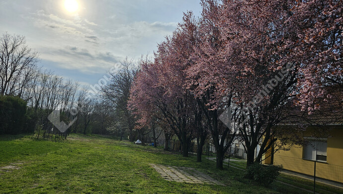 15. kép | Eladó Családi ház, Szőlősgyörök (#179158)