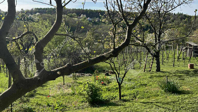 24. kép | Eladó Zárt kert, Csatár (#177399)