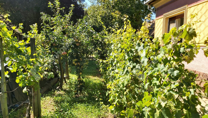 22. kép | Eladó Családi ház, Mesztegnyő (#177816)