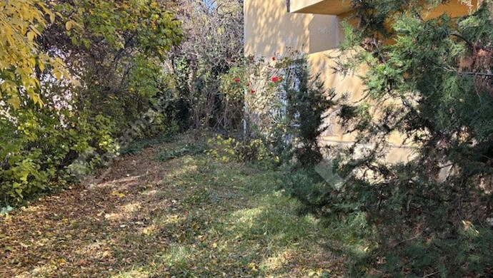 4. kép | Eladó Téglaépítésű lakás, Budapest II. Ker. (#178302)