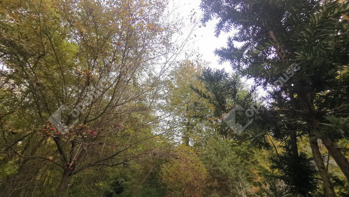 14. kép | Eladó Nyaraló, Homokkomárom (#179217)