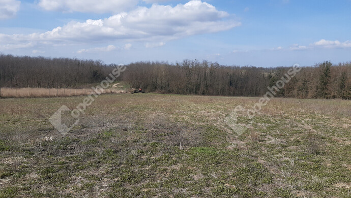 35. kép | Eladó Zárt kert, Sand (#180348)