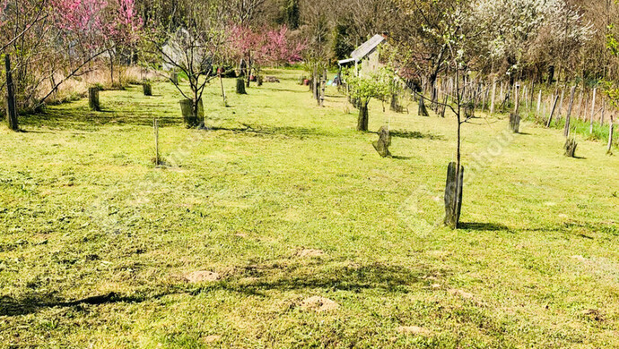 20. kép | Eladó Nyaraló, Belezna (#174370)