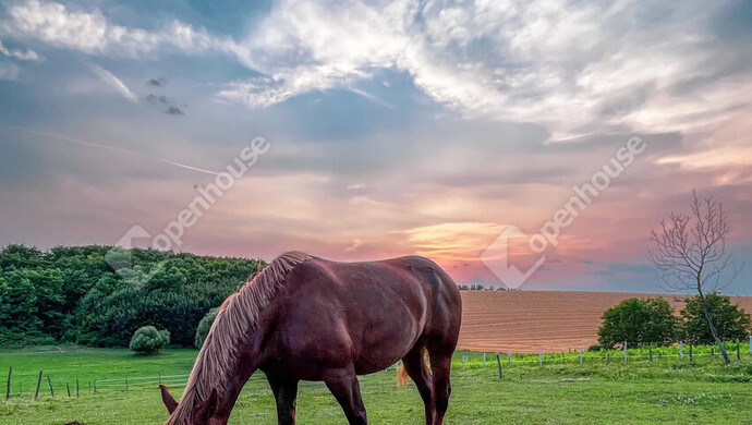 9. kép | Eladó Telek, Hagyárosbörönd (#179152)