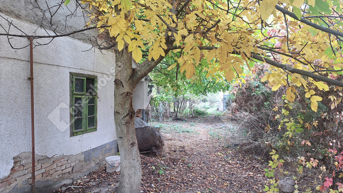 1. kép | Eladó Családi ház, Újkér (#170802)