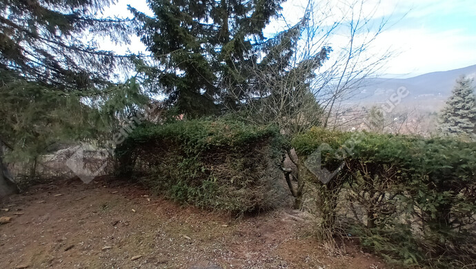 5. kép | Eladó Nyaraló, Esztergom (#180379)