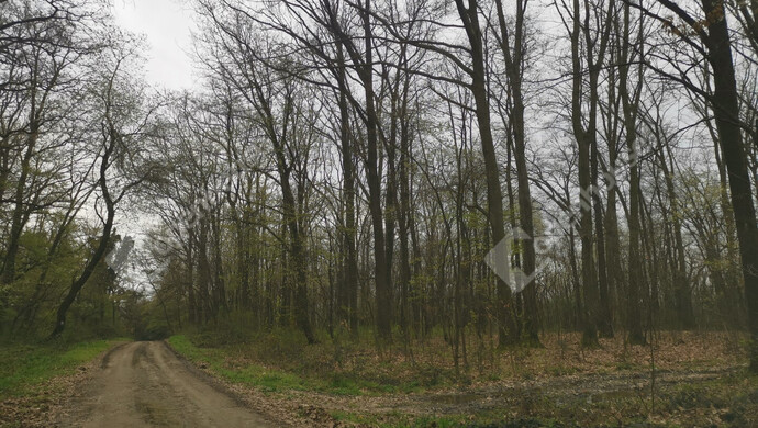 46. kép | Eladó Nyaraló, Homokkomárom (#175260)