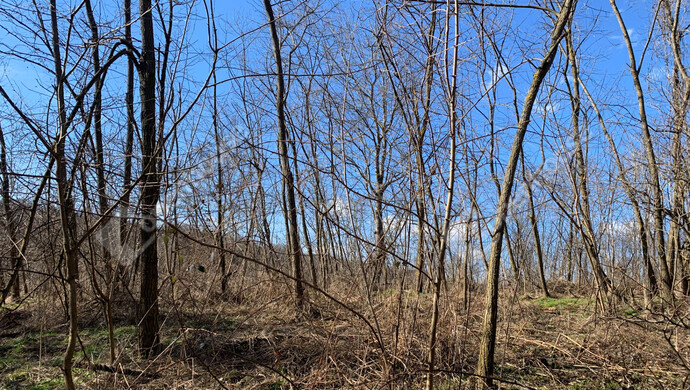 23. kép | Eladó Nyaraló, Homokkomárom (#179898)