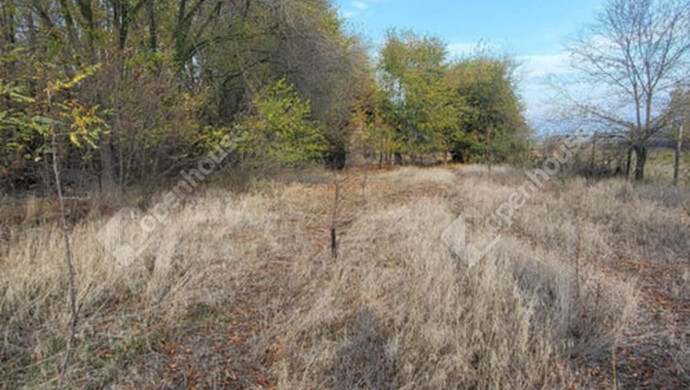 2. kép | Eladó Mezőgazdasági, Zsombó (#178321)