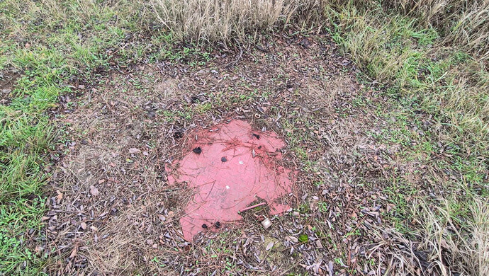 4. kép | Fúrt kút | Eladó Telek, Sülysáp (#178797)