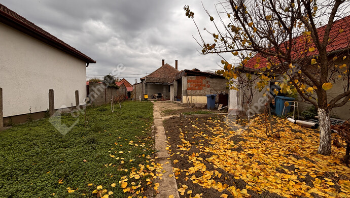 16. kép | Eladó Családi ház, Hosszúpályi (#180521)