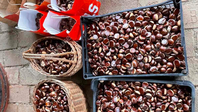 28. kép | Eladó Nyaraló, Nagykanizsa (#177970)