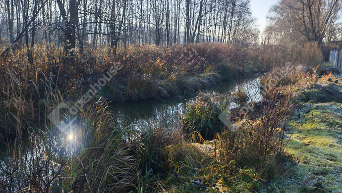 12. kép | Eladó Telek, Kiscsehi (#178890)