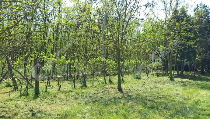 17. kép | Eladó Zárt kert, Tét (#174753)