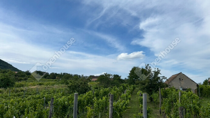 5. kép | Eladó Nyaraló, Somlóvásárhely (#178989)