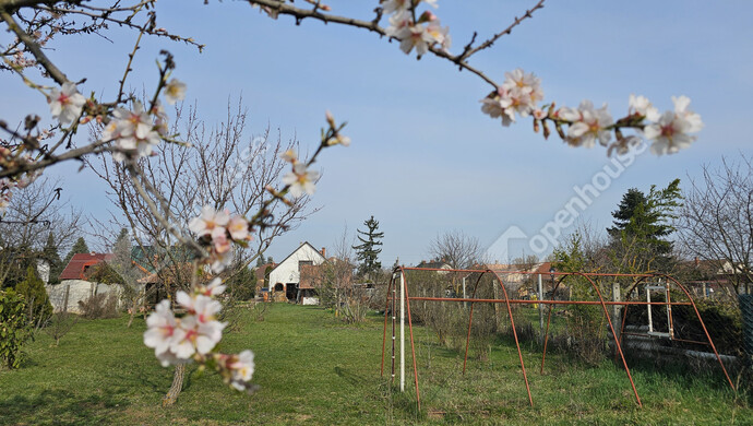 9. kép | Eladó Családi ház, Balatonlelle (#179608)