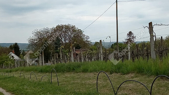 21. kép | Eladó Nyaraló, Nagykanizsa (#181407)