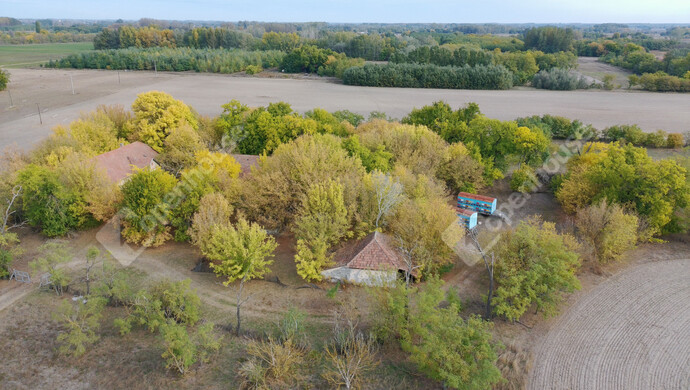 3. kép | Eladó Tanya, Balástya (#178144)